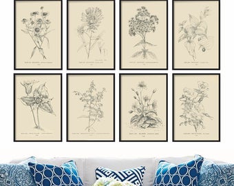 Farmhouse Decor - Botanical Print Set of 8 - Vintage Prints - Wall Art - Art Print - Wall Hanging - Home Decor - Prints - Gift for Her - Art