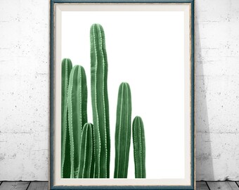 Cactus Art, Cactus Print, Botanical Print, Cactus Poster, Botanical Art, Cactus Photography, Cactus Wall Art, Botanical Poster, Cacti Print