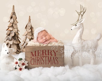 Digital Newborn Photography Background - Winter Snow Crate Christmas Backdrop (Set of 2)