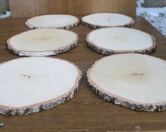 11 inch Birch Slice,Large Wood Slices, 11" wood slices, large wood slabs, wood platter, Rustic Wedding Decor, Cake Stand,Wedding Centerpiece