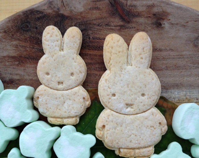 Miffy cookie cutter. Miffy rabbit cookie stamp. Baby shower cookies