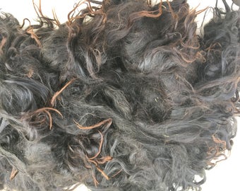 Long Suri locks in dark brown & black