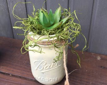 Chippy Yellow Masin Jar with Succulent