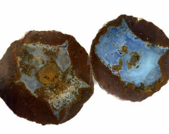 Whole Blue Agate Thunder Egg, Geode, Gemstone