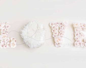 Love Digital Backdrop, Valentine's Digital Backdrop, Newborn Digital Backdrop, Valentine's Day Digital Backdrop