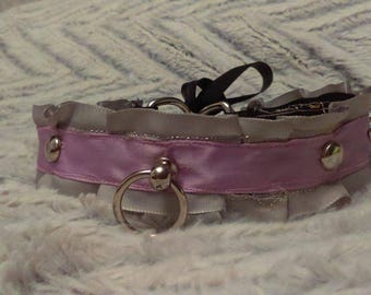 Silver Lining* Kitten Play Collar