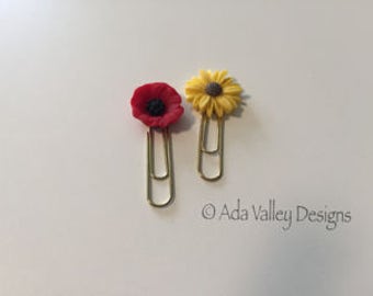 Summer flowers