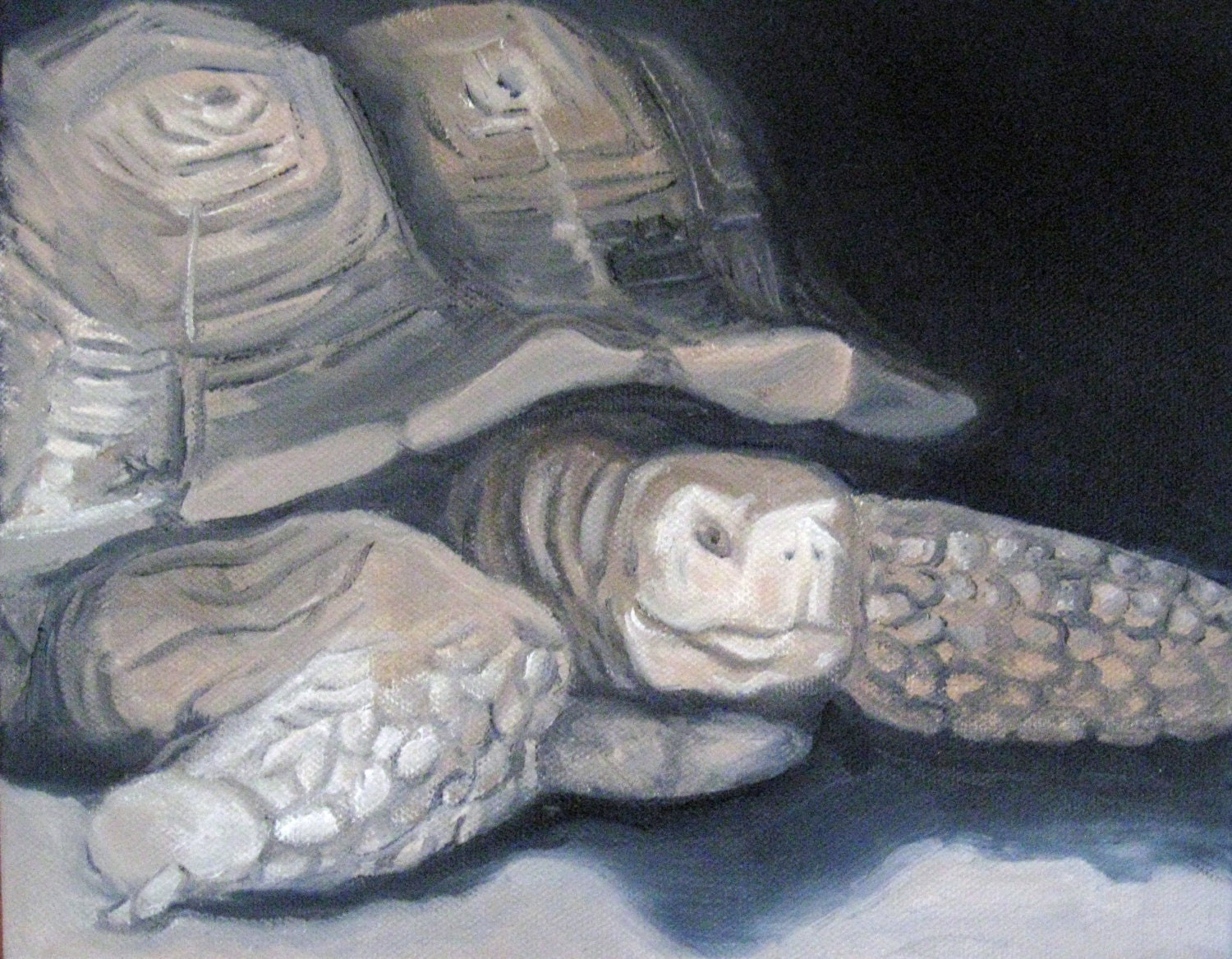 Tortoise Painting Tortoise Art Turtle Oil Painting Turtle