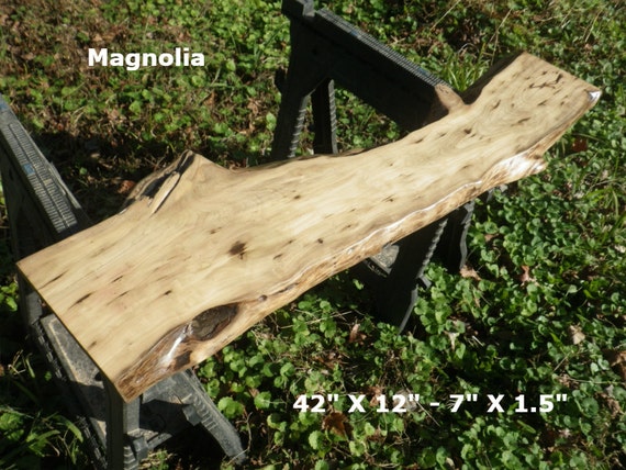 Live Edge MAGNOLIA Finished Wood Slab Natural Edge Shelf