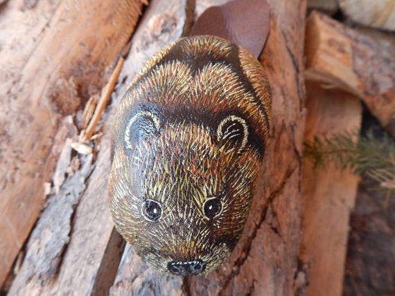 Beaver Wildlife Hand Painted Rock Art Beaver Painting Beaver