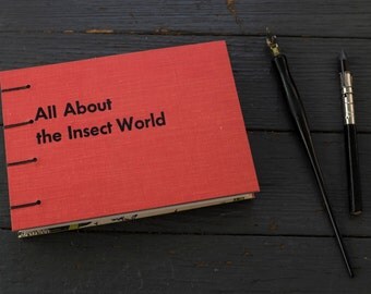 Handmade Repurposed Bug Insect Book - Journal or Sketchbook