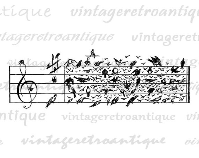 Birds Music Notes Printable Bird Image Music Graphic Musical Notation Music Sheet Antique Art Download Digital Jpg Png Eps HQ 300dpi No.3269