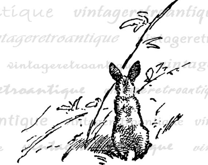 Bunny Clipart Printable Rabbit Graphic Cute Bunny Digital Image Animal Nursery Easter Spring Digital Clip Art Jpg Png Eps HQ 300dpi No.162