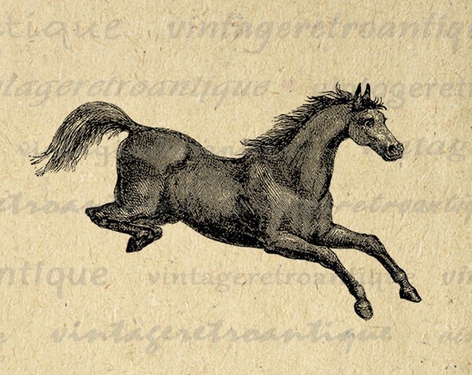 Digital Jumping Horse Printable Image Graphic Download Artwork Antique Clip Art Jpg Png Eps HQ 300dpi No.2278