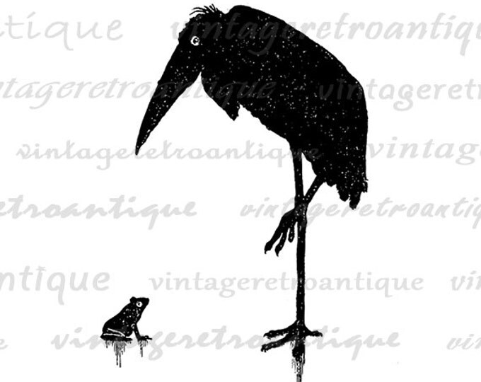 Printable Graphic Bird and Frog Digital Antique Illustration Download Image Vintage Clip Art Jpg Png Eps HQ 300dpi No.3781