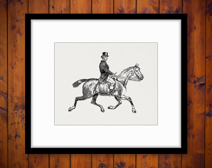 Digital Antique Horseback Rider Graphic Download Horse Riding Printable Image Vintage Clip Art Jpg Png Eps HQ 300dpi No.4121