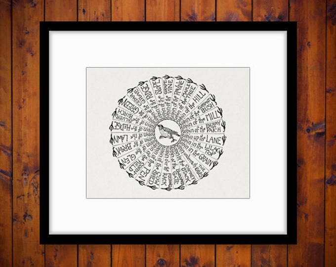 Digital Robin Bird Graphic Image Text Wheel Download Illustration Printable Antique Clip Art Jpg Png Eps HQ 300dpi No.3021