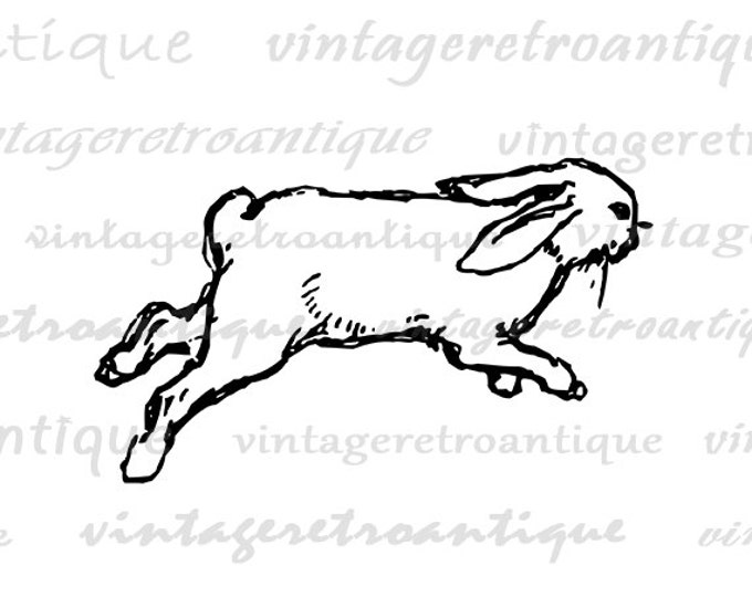 Printable Digital Rabbit Download Hopping Bunny Graphic Rabbit Easter Spring Image for Transfers Pillows Tea Towels etc HQ 300dpi No.4623