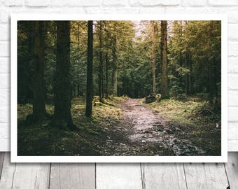 Forest Wall Art forest wall art | etsy Forest Wall Art forest wall art | etsy