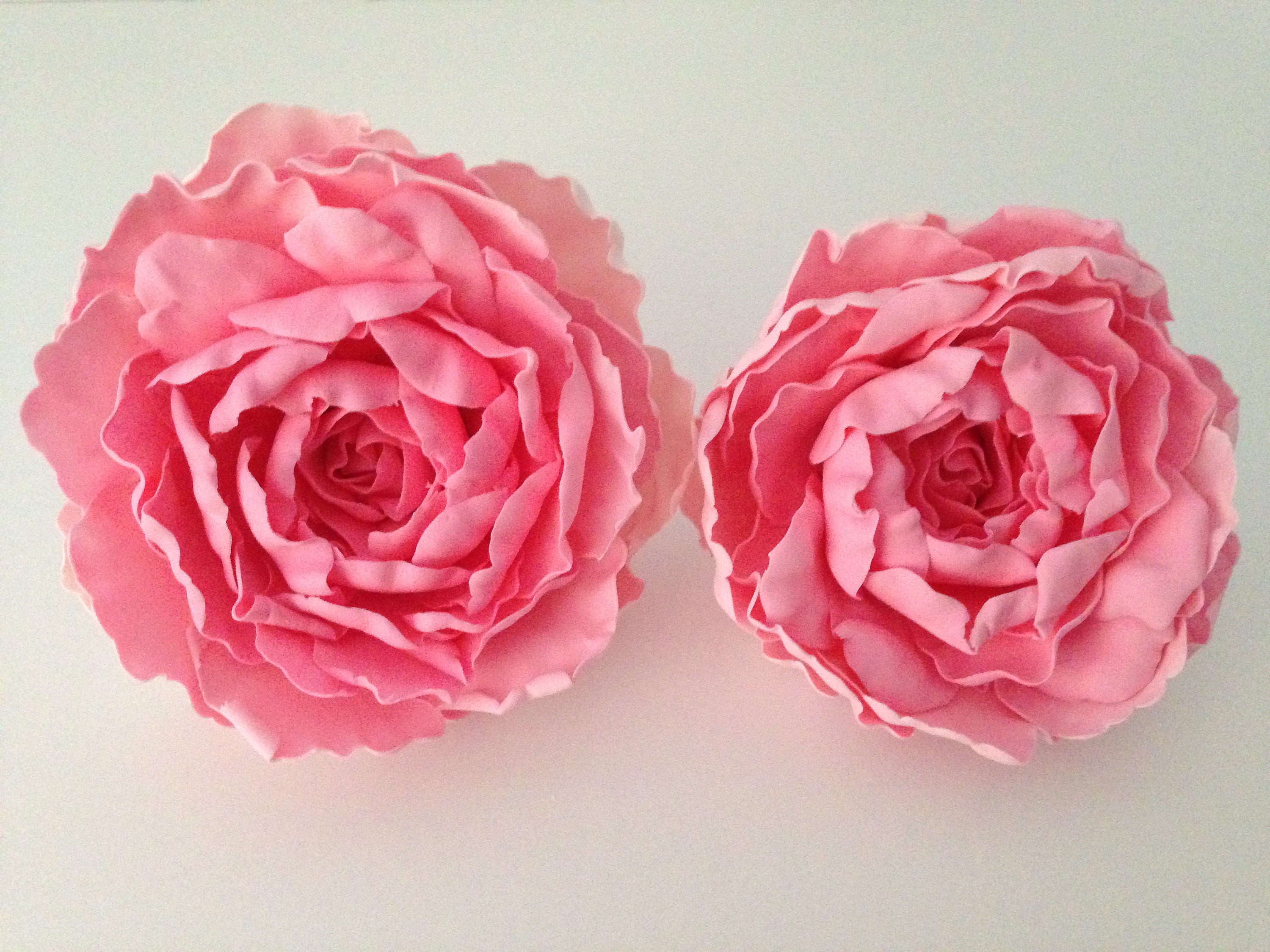 Pink sugar peony. Gum paste Peony. Fondant peony. Sugar flower