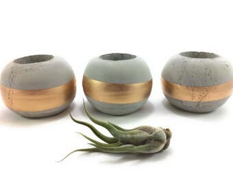 Orb Concrete Succulent Planters/Air Plant Planters. (Set of 3). GOLD. FREE SHIPPING! Ready To Ship!