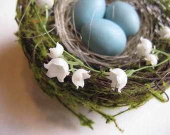 Natural bird nest with eggs, Nest with eggs, Bird nest, Robin eggs