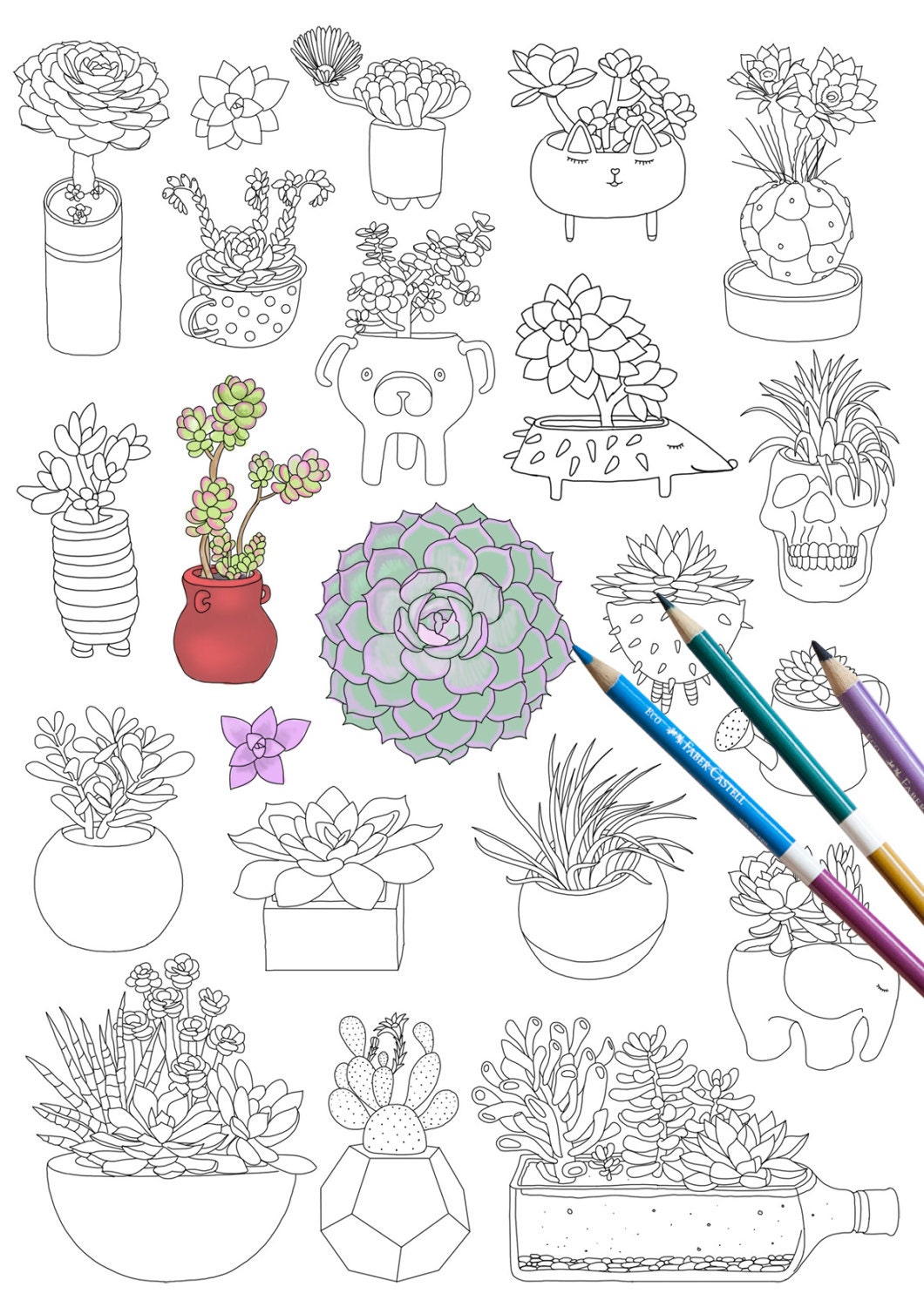 Succulents coloring page INSTANT DOWNLOAD plants Adult