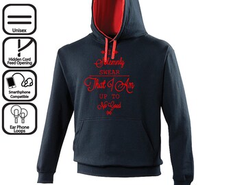 I Solemnly Swear Harry Potter Hoodie | Gift Jumper