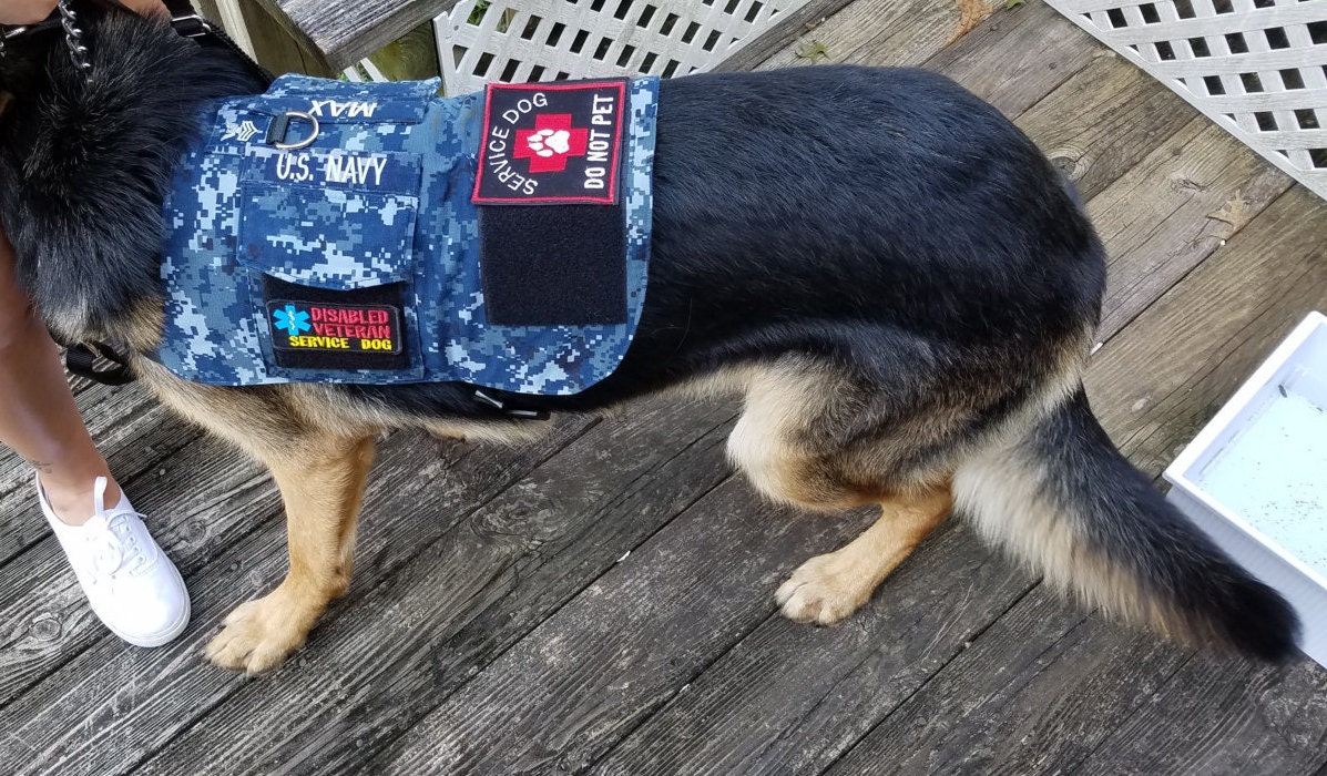 Service Dog Vest Service DogDog HarnessService Vest