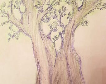 olive tree drawing