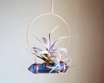 Hanging Air Planter on Crystal, Boho Decor, Blue Fluorite Airplant Swing Display, Wire Wrapped, Chiapensis, Gift For Gardener, Mom