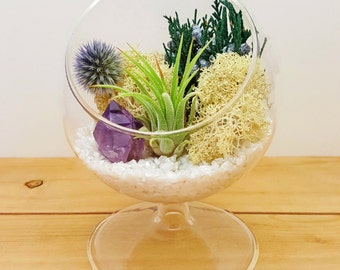 Air Plant Pedestal Stand Terrarium Kit / 4" Round DIY Terrarium Kit / Shabby Chic