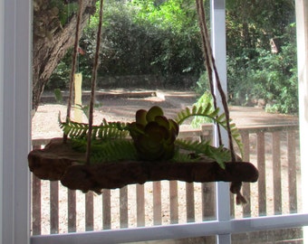 FREE SHIPPING = Driftwood Air Plant Hanging Holder* Swinging "Nautical Style"