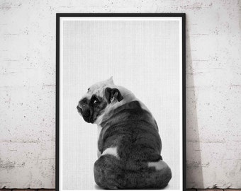 Dog Butt, English Bulldog, Dog Portrait, Portraits Of My Dog, Loss Of Dog Gift, Pet Portrait Dog, Pet Dog photograph, Nursery Print Dog