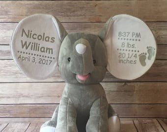 Personalized Birth Stats Teddy Bear