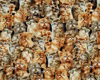 Kitten Fabric / Kittens Fabric / Cat Fabric / Timeless Treasures c4121 Stacked Kittens Fabric Yardage / By The Yard and Fat Quarters