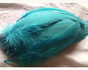 1 feather for various confections * pen 200