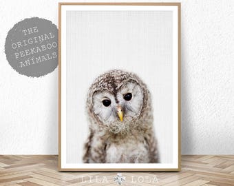 Owl Print, Nursery Wall Art Decor, Woodland Animals, Baby Shower Gift, Girl, Boy, Large Printable Digital Download, Baby Animal Prints