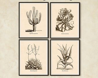 Succulent print set, Antique botanical print set, Art print vintage, Set of 4 prints, Digital botanical print, Succulent, Printable art, JPG