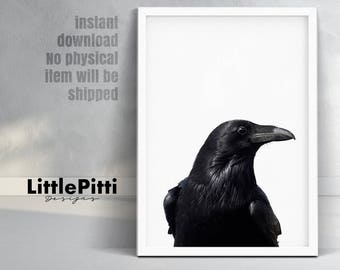 Raven print, raven art, bird print, digital print, raven photo, black raven print, odins raven, modern art print, gothic print, crow photo