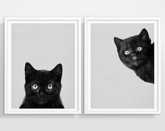 Cat art print, Set of 2 prints, Wall art,Art print,Cat print,Cat photography,Black cat,Nursery animal,Animal print,Pet print,Cat decor