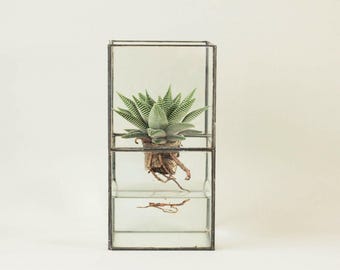 Geometric glass terrarium including cactus-Indoor planter-Tiffany stained glass-Minimalistic-Glass planter-Modern home decor