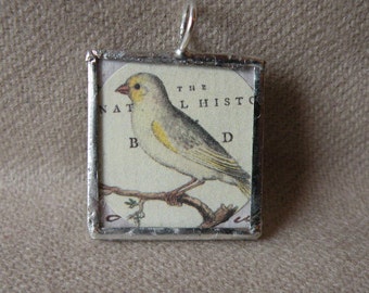 White Bird - Oiseaux - Antique Orinthology Print Collage - Pendant Made with Hand-Soldered Glass