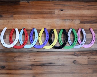 Powder Coated Lucky Metal Horse Shoe