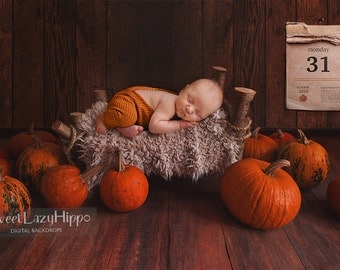 Newborn Digital Backdrop with bed and pumpkins. Halloween. JPG file