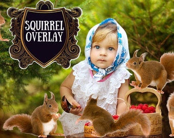 Squirrel overlay Photoshop overlays Baby Girl Children in the forest