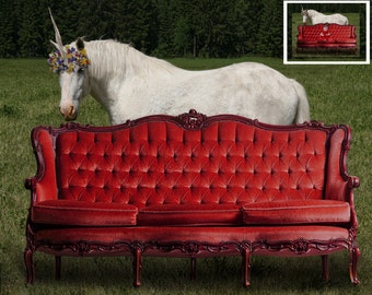 Digital backdrop, digital background, family background, studio background, unicorn backdrop, Victorian couch backdrop, horse backdrop