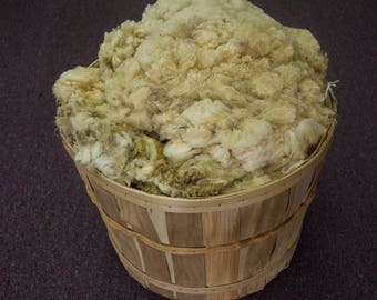Romeldale/CVM Raw Fleece