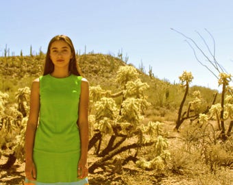 1960s Drop Waist Dress