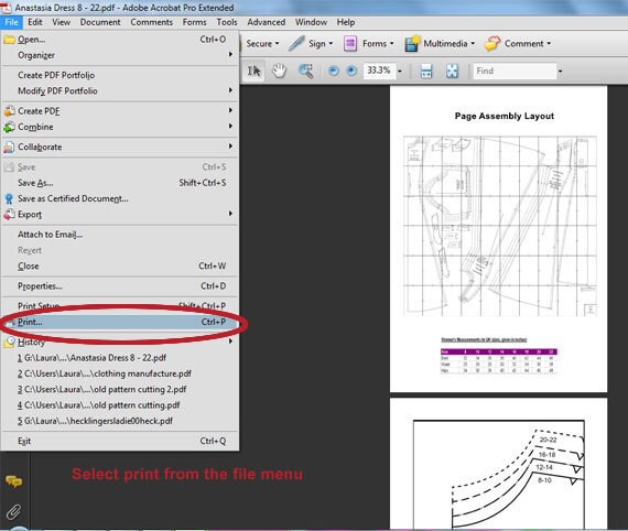 Adobe Acrobat Reader select print